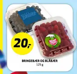Bunnpris BRINGEBÆR OG BLÅBÆR tilbud