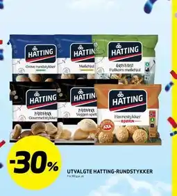 Bunnpris UTVALGTE HATTING-RUNDSTYKKER tilbud