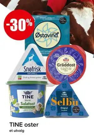 Spar TINE oster tilbud