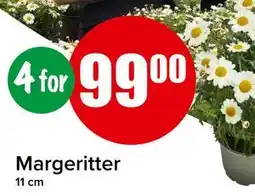 Spar Margeritter tilbud