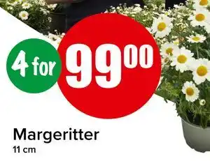 Spar Margeritter tilbud