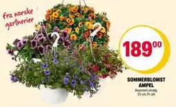 Coop Extra SOMMERBLOMST AMPEL tilbud