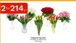 Oda Tulipaner og roser tilbud