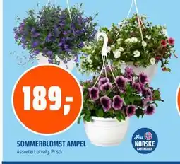 Coop Obs SOMMERBLOMST AMPEL tilbud