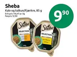 Joker Sheba tilbud