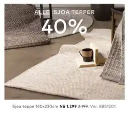 Skeidar Sjoa teppe tilbud
