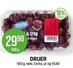 Kiwi DRUER tilbud