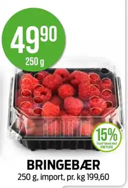 Kiwi BRINGEBÆR tilbud