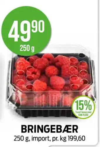 Kiwi BRINGEBÆR tilbud