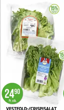 Kiwi VESTFOLD-/CRISPISALAT tilbud