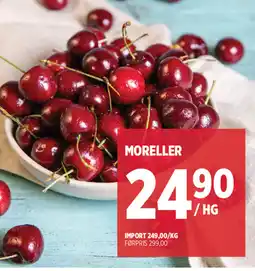 Jacobs MORELLER tilbud