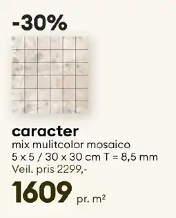 Modena Fliser car mix mulitcolor mosaico tilbud
