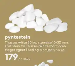 Modena Fliser pyntestein Thassos white tilbud
