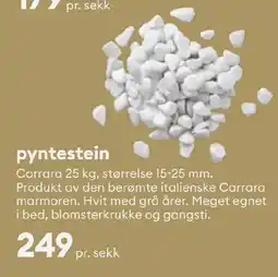 Modena Fliser pyntest Carrara tilbud