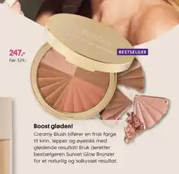 VITA Boost gløden! tilbud