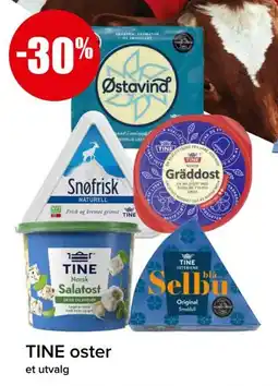 Spar TINE oster tilbud