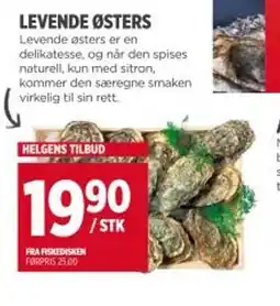 Meny Levende østers tilbud