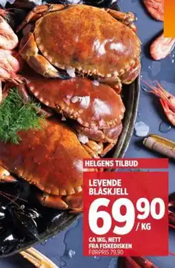 Meny Levende blåskjell tilbud