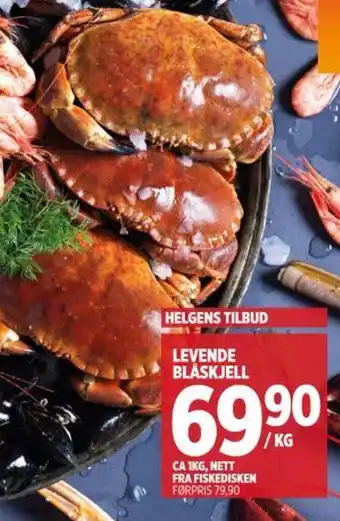 Meny Levende blåskjell tilbud