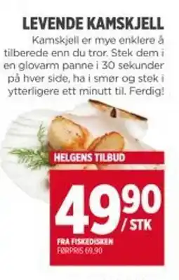 Meny Levende kamskjell tilbud