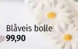 Nille Blåveis bolle tilbud