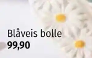 Nille Blåveis bolle tilbud