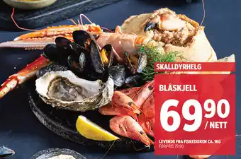 Jacobs Levende fra fiskedisken tilbud