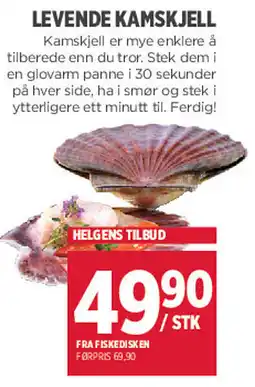 Jacobs Levende kamskjell tilbud