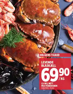 Jacobs Levende bläskjell tilbud