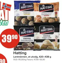 Spar Hatting tilbud