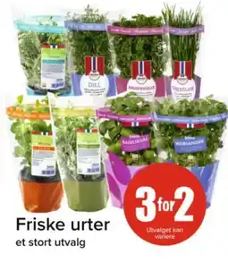 Spar Friske urter tilbud