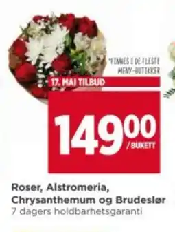 Meny Roser, alstromeria, chrysanthemum og brudeslør tilbud