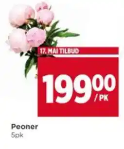 Meny Peoner tilbud
