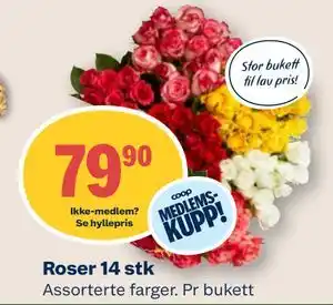 Coop Mega Roser 14 stk tilbud