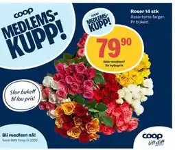 Coop Extra Roser 14 stk tilbud