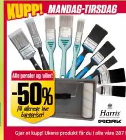 Europris Alle pensler og ruller! tilbud