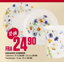 Europris ENGANGS SOMMER tilbud