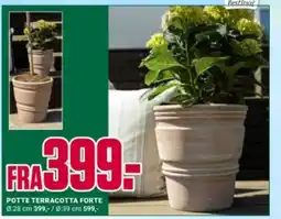 Europris POTTE TERRACOTTA FORTE tilbud