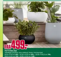 Europris POTTE MALAGA tilbud
