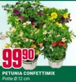 Europris PETUNIA CONFETTIMIX Potte 0:12 cm tilbud