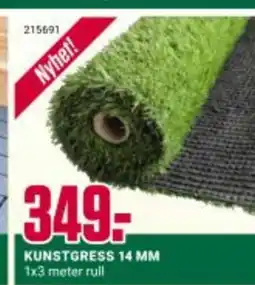 Europris HAGEHORTENSIA tilbud