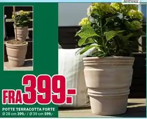 Europris POTTE TERRACOTTA FORTE tilbud