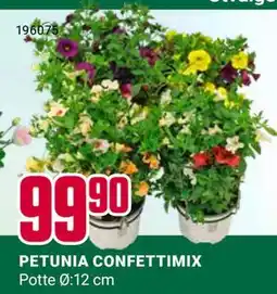 Europris PETUNIA CONFETTIMIX tilbud