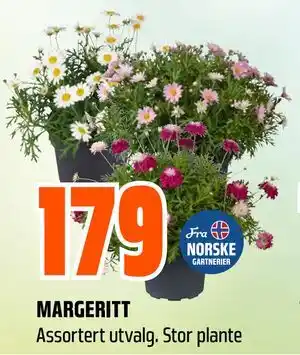 Obs Bygg MARGERITT tilbud