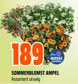 Obs Bygg SOMMERBLOMST AMPEL tilbud