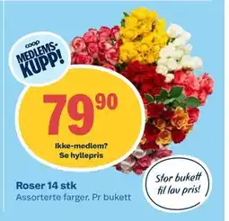 Coop Obs Roser 14 stk tilbud