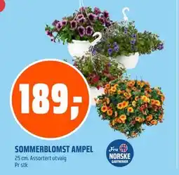 Coop Obs SOMMERBLOMST AMPEL tilbud