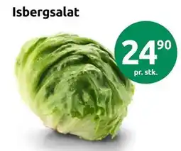 Joker Isbergsalat tilbud