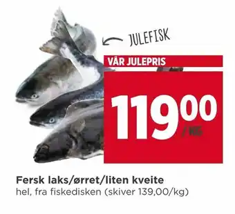 Meny Fersk laks/ørret/liten kveite tilbud