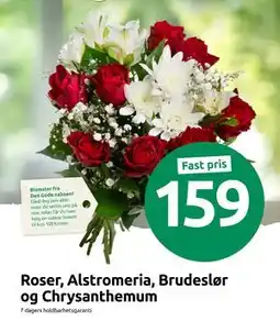 Joker Roser, Alstromeria, Brudeslør og Chrysanthemum tilbud